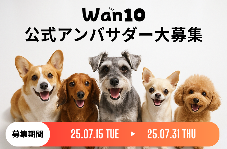 Wan10公式アンバサダー募集バナー