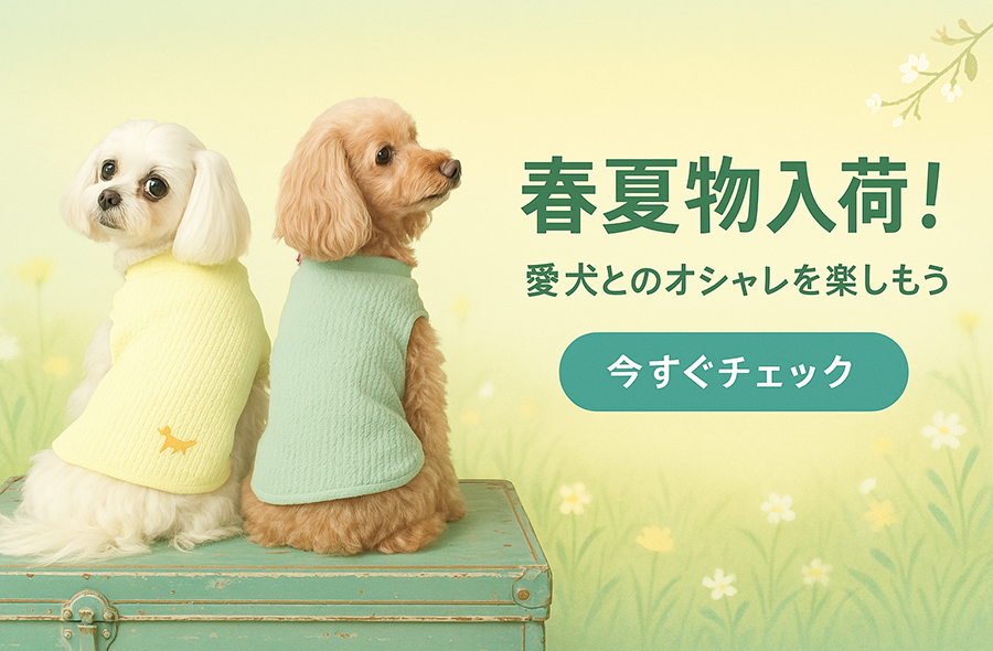 2025春夏アイテム入荷！