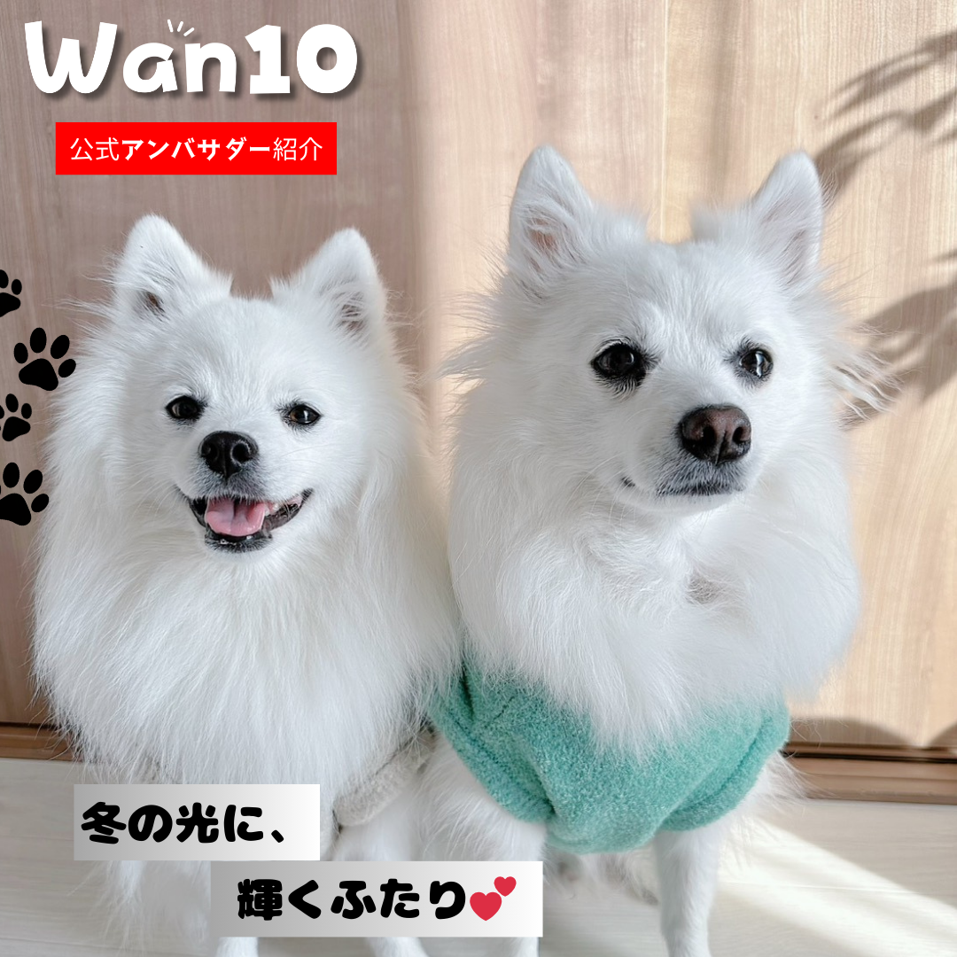 スイちゃん＆ロンくん（スピッツ）