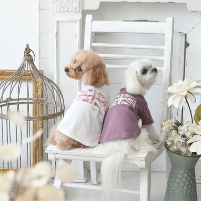 LAURA ASHLEY（ローラアシュレイ）｜犬服・ペットグッズ専門店「Wan10