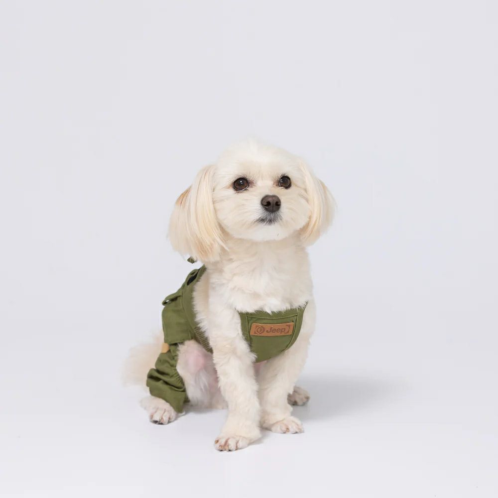 Jeep オーバーオール