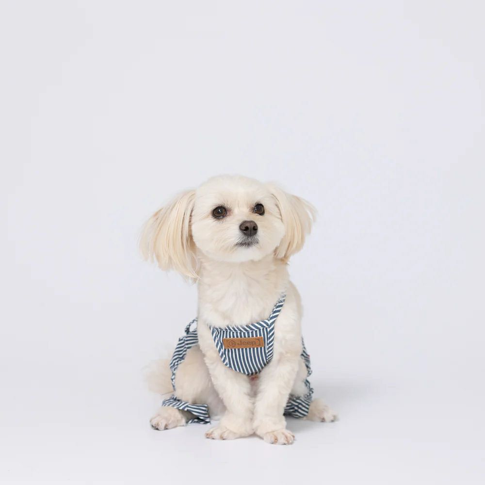 Jeep オーバーオール