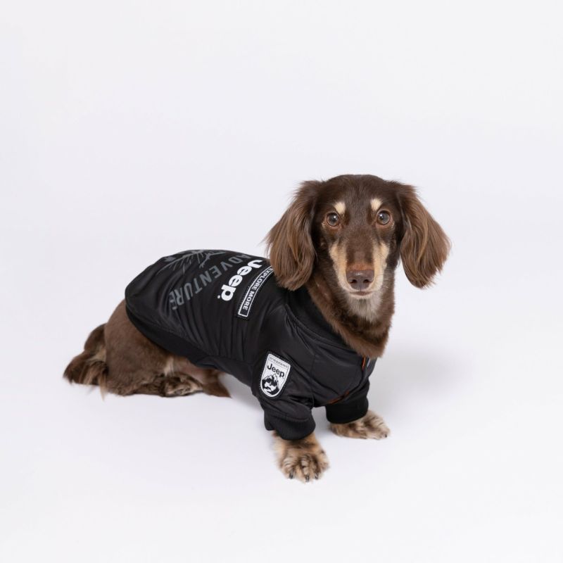 Jeep MA-1 ジャケット｜犬服・ペットグッズ専門店「Wan10(ワント)」
