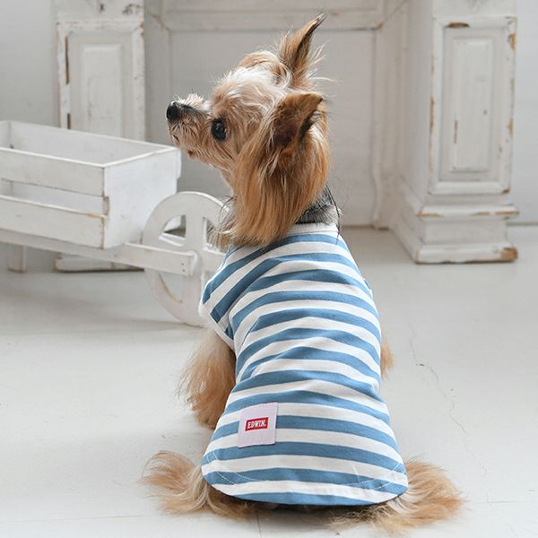 EDWIN ドッグシャツ 2色ボーダー｜全7色