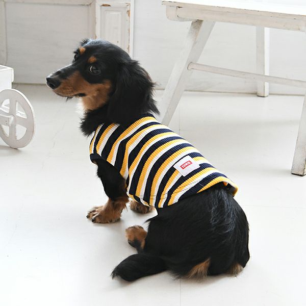 EDWIN ドッグシャツ 3色ボーダー｜全2色