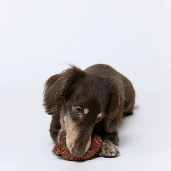 ミッフィー メッシュトイ