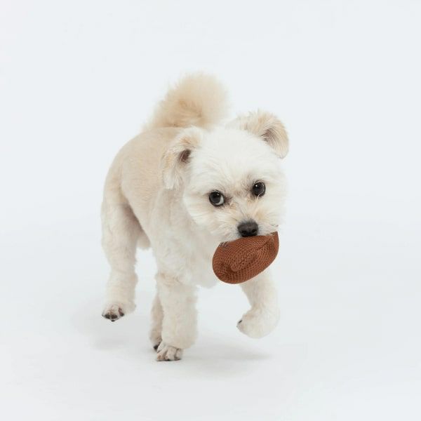 ミッフィー メッシュトイ