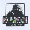 XLARGE フラワーオージーフーディー