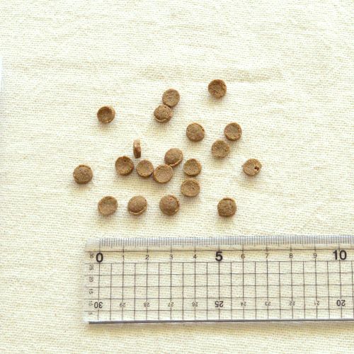 yum yum yum！ シニア&ライト 馬肉 ドライタイプ