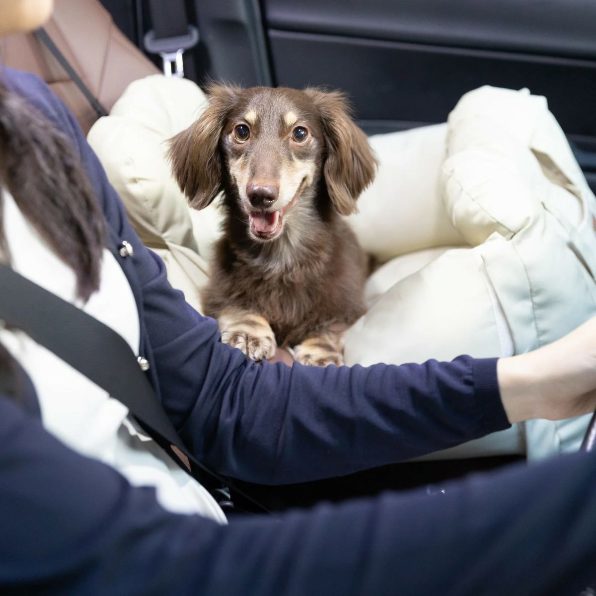 pipi 3WAYドライブキャリーベッド