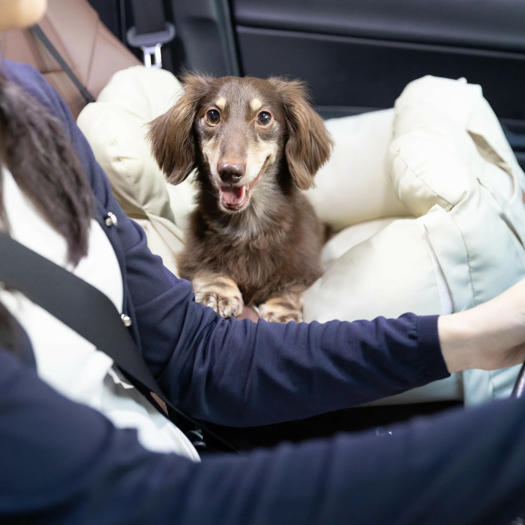 pipi 3WAYドライブキャリーベッド