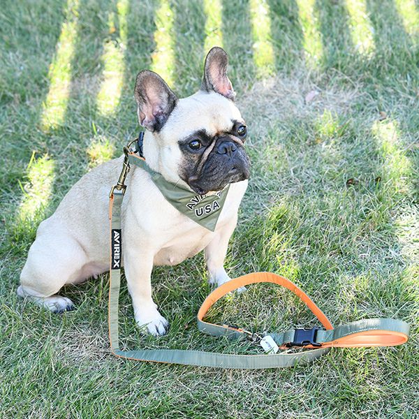 AVIREX MA－1 リード