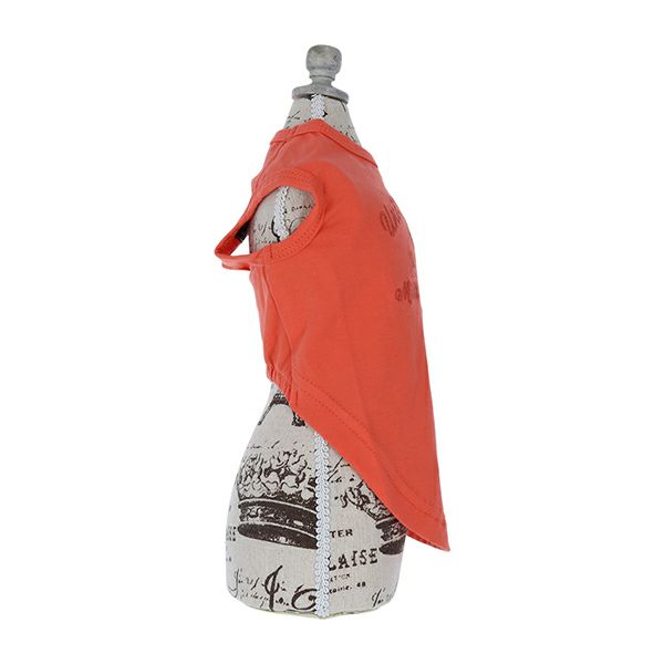 AVIREX フェードウォッシュタンク