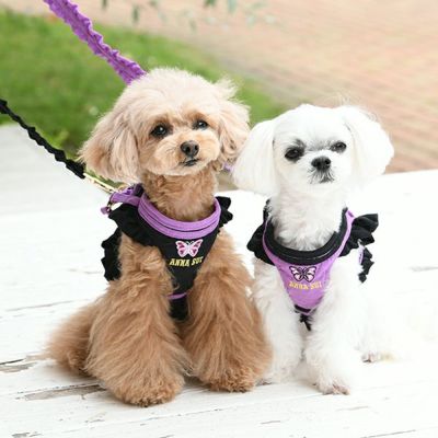 ハーネス・胴輪｜犬服・ペットグッズ専門店「Wan10(ワント)」