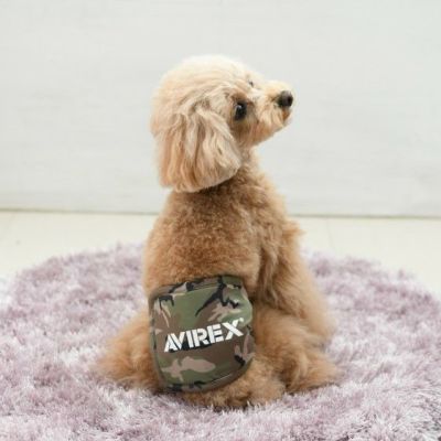 AVIREX（アヴィレックス）｜犬服・ペットグッズ専門店「Wan10(ワント)」