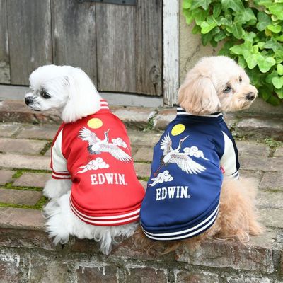 犬 首輪 edwin コレクション