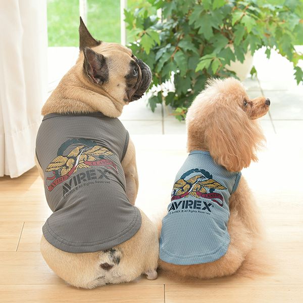 AVIREX（アヴィレックス）｜犬服・ペットグッズ専門店「Wan10(ワント)」