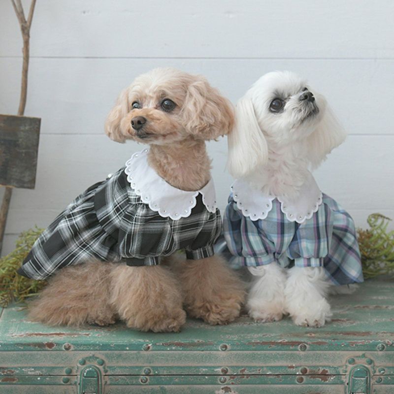 2025新商品 ANNA SUI（アナ スイ）リボンチャーム付きチェック柄