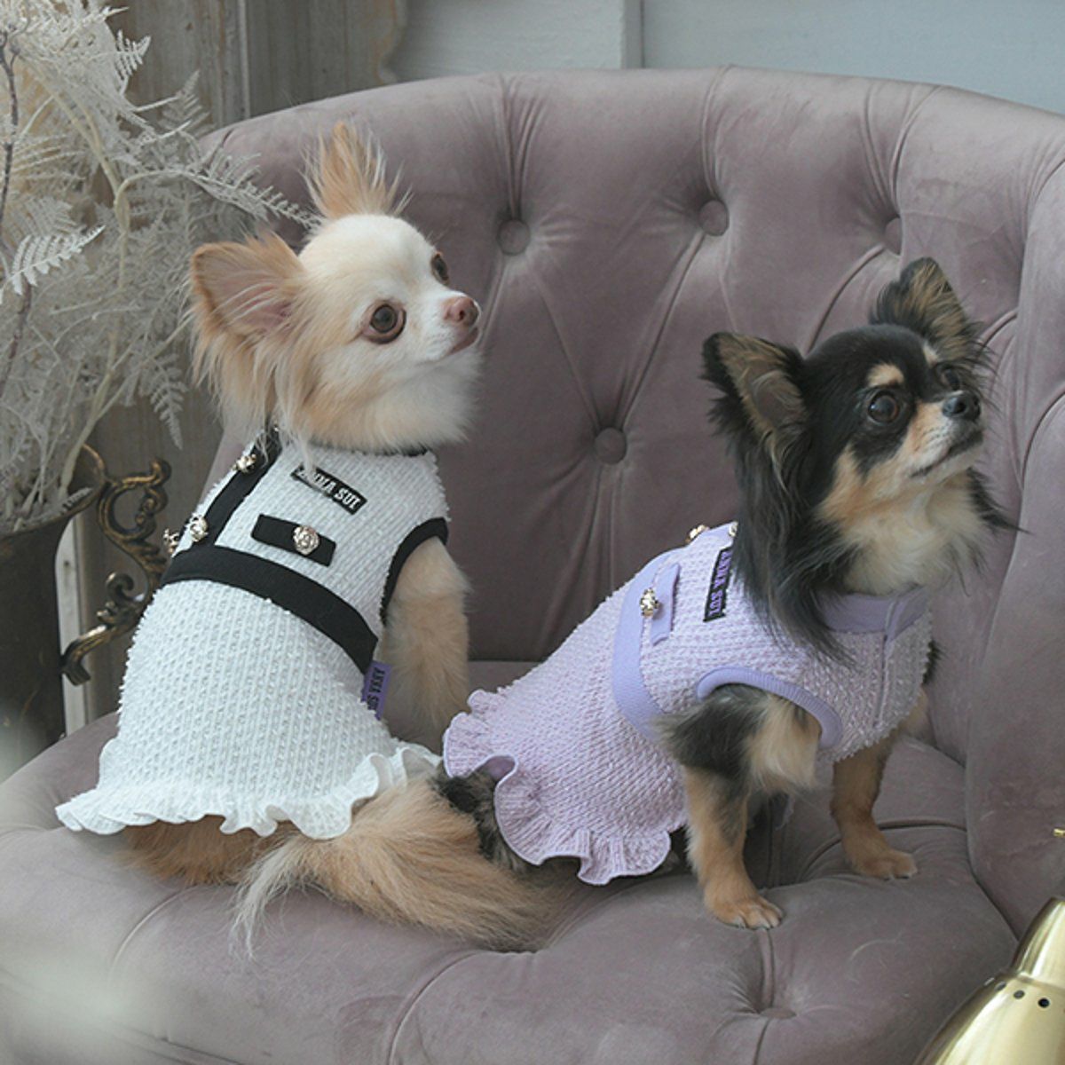 2025新商品 ANNA SUI（アナ スイ）ツイード風ニットワンピース｜犬服