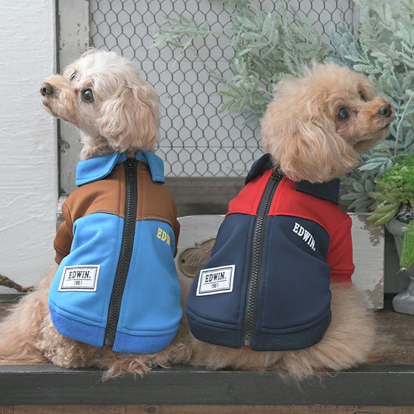 2025新商品 EDWIN（ エドウィン）切替バイカラージャケット｜犬服