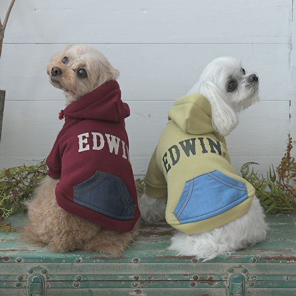 2025新商品 EDWIN（ エドウィン）デニムライクポケット付パーカー｜犬
