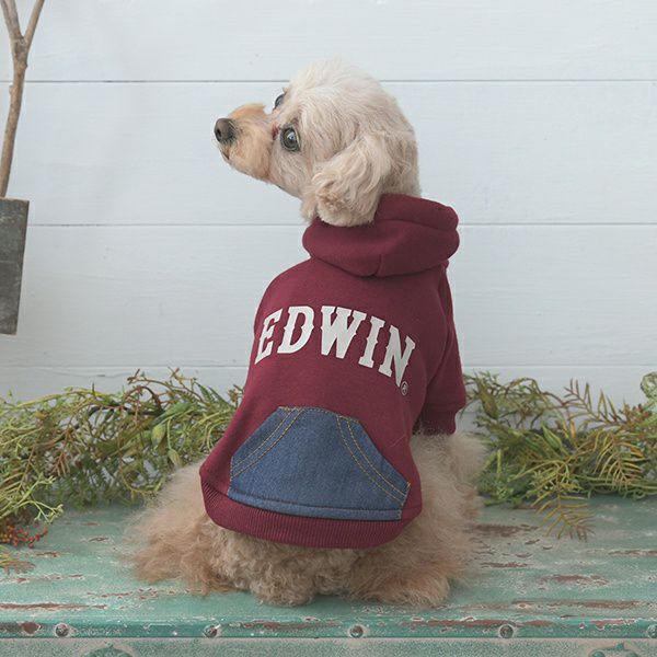 2025新商品 EDWIN（ エドウィン）デニムライクポケット付パーカー｜犬