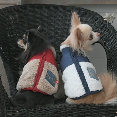 EDWIN 犬服 ネイビー 2L EDWIN（エドウィン）/ベースボールスウェット