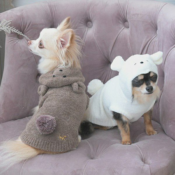 2025新商品 ROPE PICNIC（ロペピクニック）クマさんルームウェア｜犬服