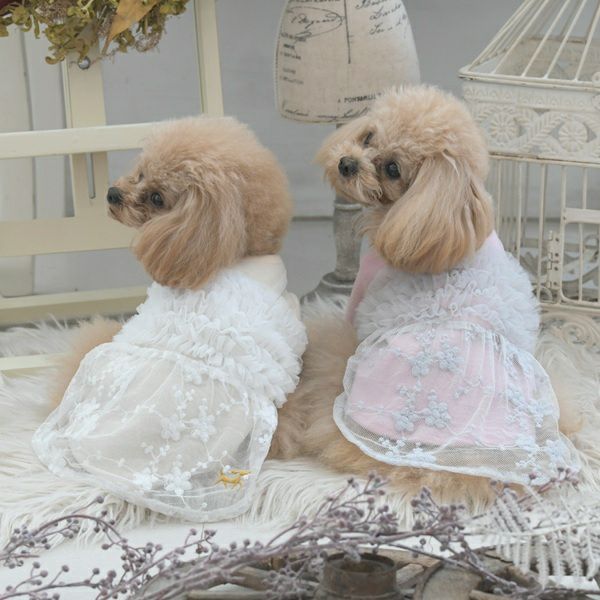 ワンピース｜犬服・ペットグッズ専門店「Wan10(ワント)」