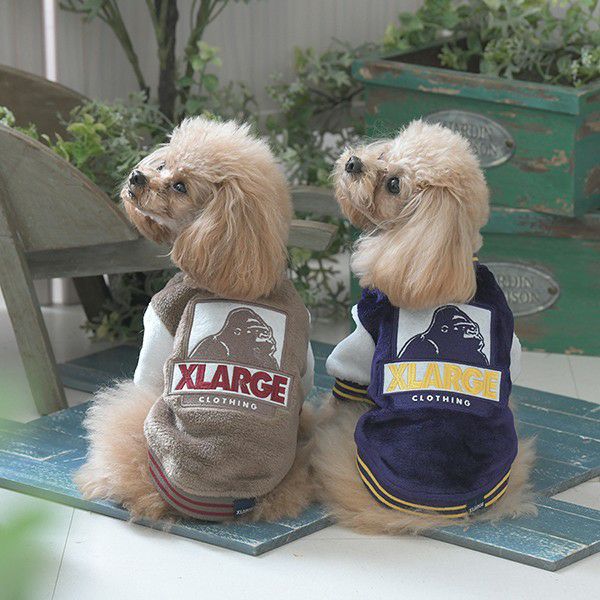 2025新商品 XLARGE（エクストララージ）OGスタジャン｜犬服・ペット