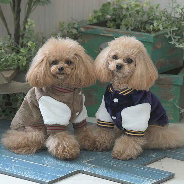 2025新商品 XLARGE（エクストララージ）OGスタジャン｜犬服・ペット