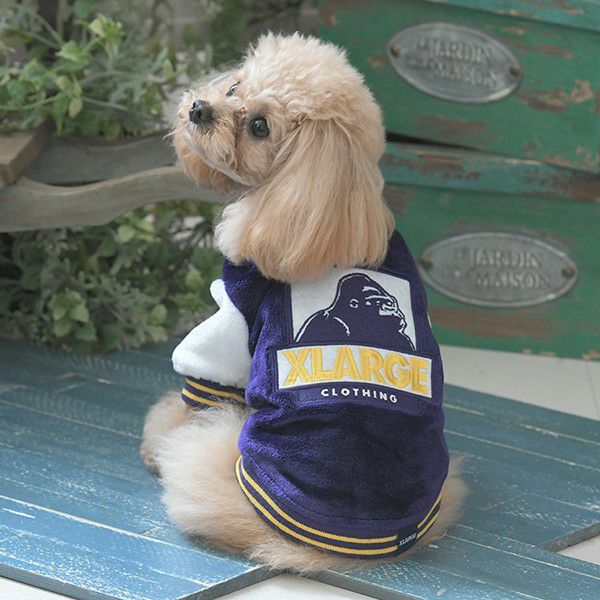 2025新商品 XLARGE（エクストララージ）OGスタジャン｜犬服・ペット