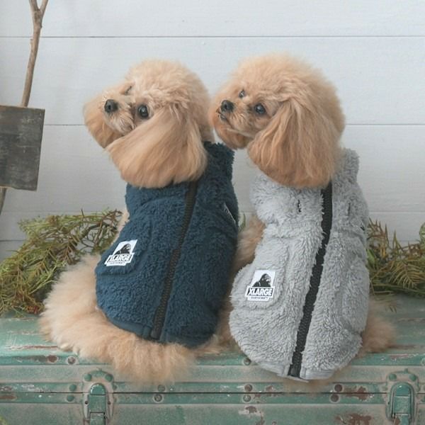 2025新商品 XLARGE（エクストララージ）OGボアベスト｜犬服・ペット