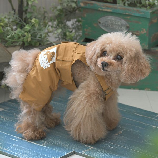 2025新商品 XLARGE（エクストララージ）OGオーバーオール｜犬服