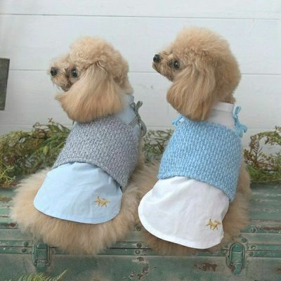 ワンピース｜犬服・ペットグッズ専門店「Wan10(ワント)」