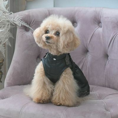 ワンピース｜犬服・ペットグッズ専門店「Wan10(ワント)」